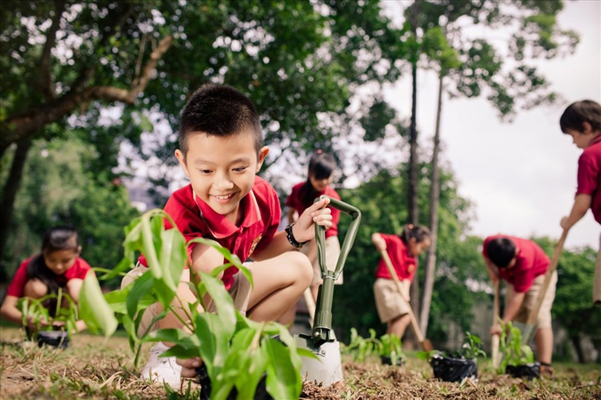 Về lại cội nguồn